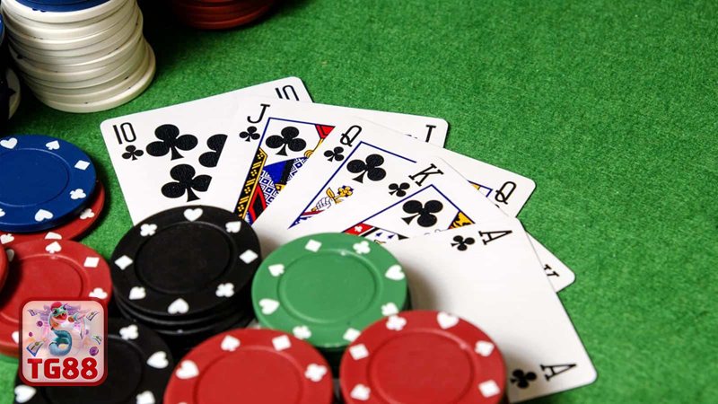 Giới Thiệu TG88 - Giới Thiệu TG88 về bảo mật tài khoản và quyền riêng tư