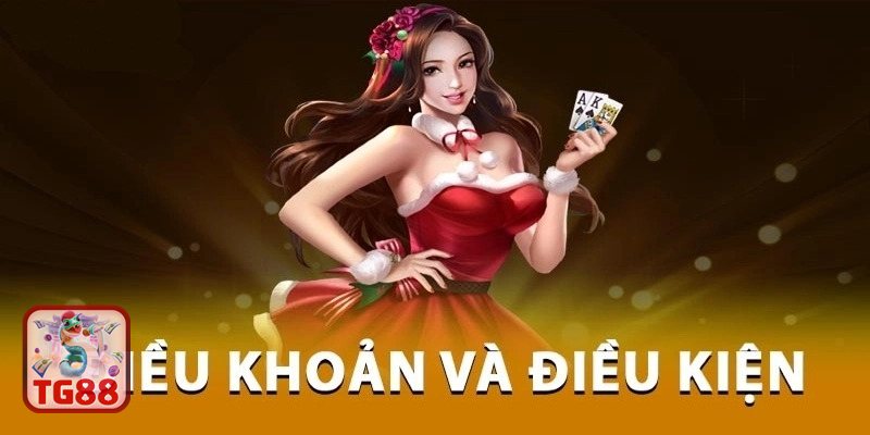 Điều Khoản Điều Kiện TG88 - Phạm vi áp dụng đối với người dùng